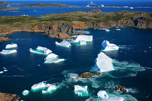 Icebergs at Twillingate, NFL