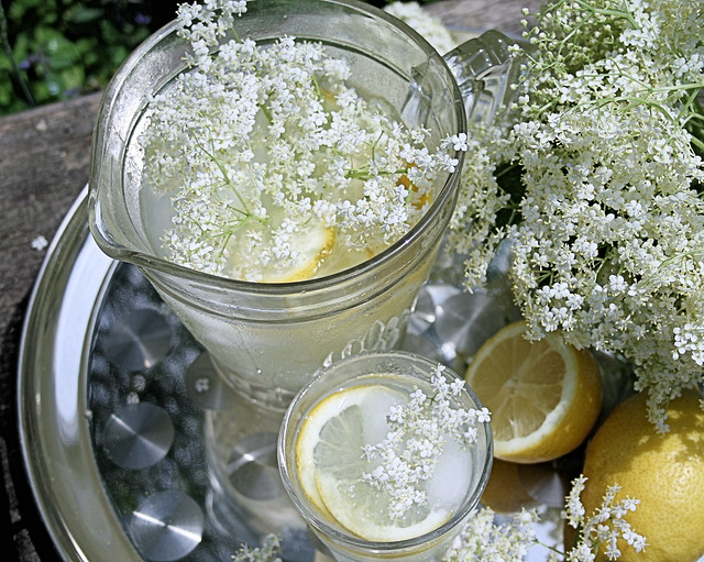 Old Fashioned English Elderflower Cordial