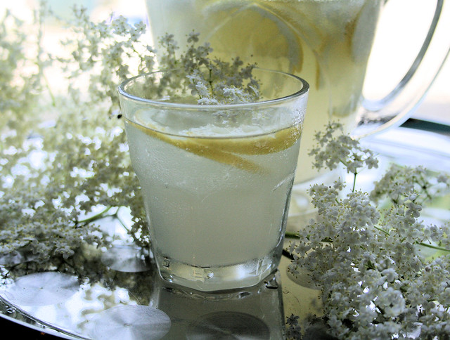 Old Fashioned Elderflower Cordial  An old recipe - 100 years old. This summer cordial is made with Elderflowers.........once made it can be mixed with sparkling wine, mineral water, lemonade or added to cooking for desserts.