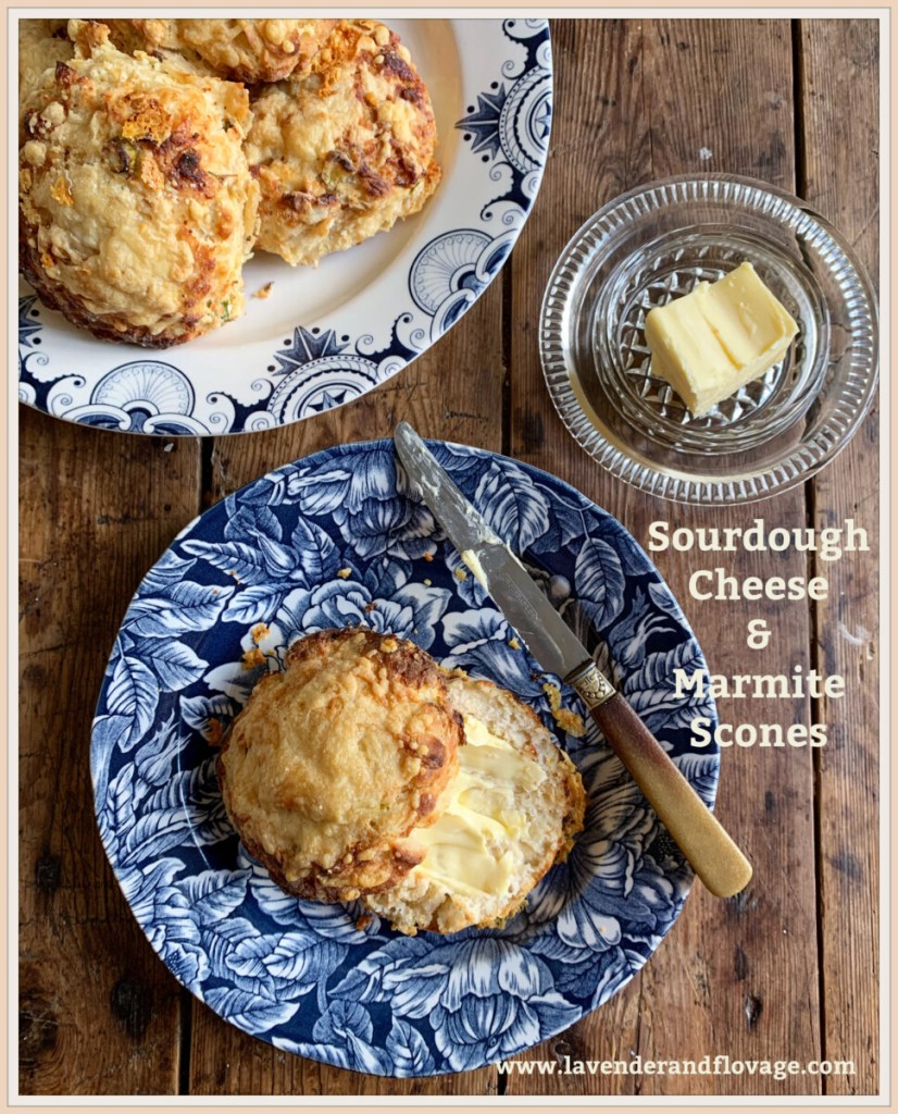 Sourdough Cheese and Marmite Scones