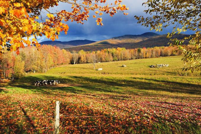 Sutton, Eastern Townships, Quebec