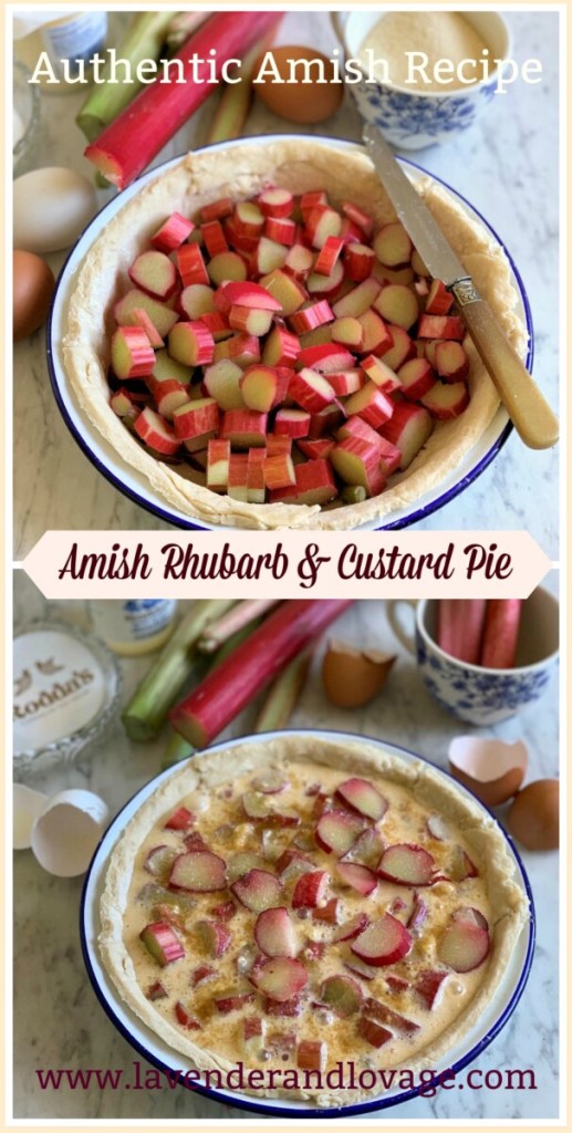 Amish Rhubarb & Custard Pie