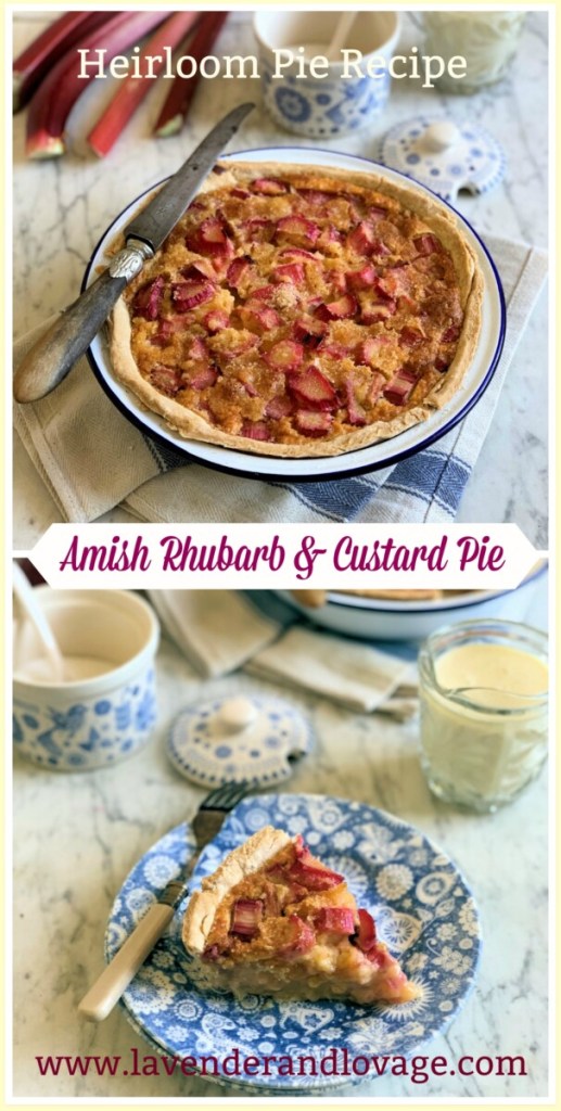 Amish Rhubarb & Custard Pie