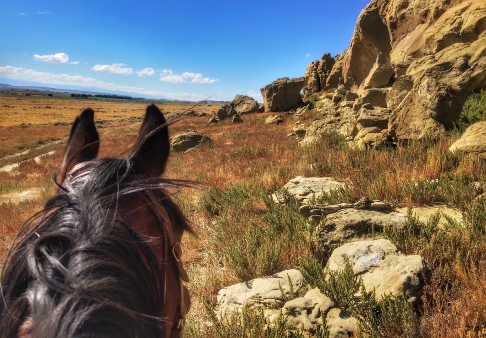 horseback riding