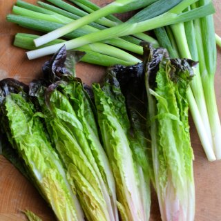 Baby Gem Lettuce and Spring Onions