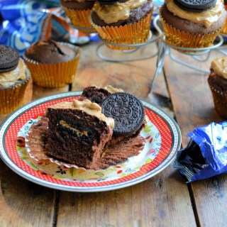 Chocolate Peanut Butter Muffins