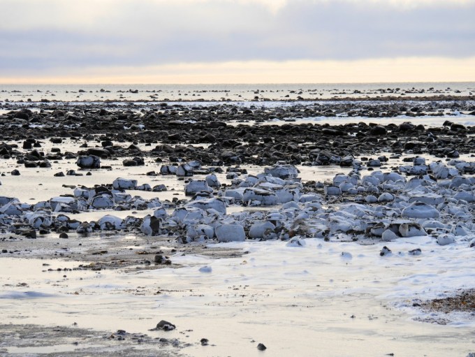 The Hudson Bay starts to freeze at Seal River