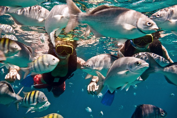 Image: Cool Runnings Catamaran Barbados