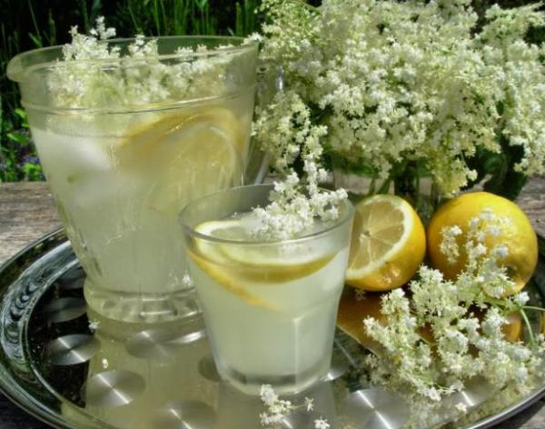 Old Fashioned Elderflower Cordial  An old recipe - 100 years old. This summer cordial is made with Elderflowers.........once made it can be mixed with sparkling wine, mineral water, lemonade or added to cooking for desserts.