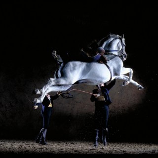 ROYAL ANDALUSIAN SCHOOL OF EQUESTRIAN ART