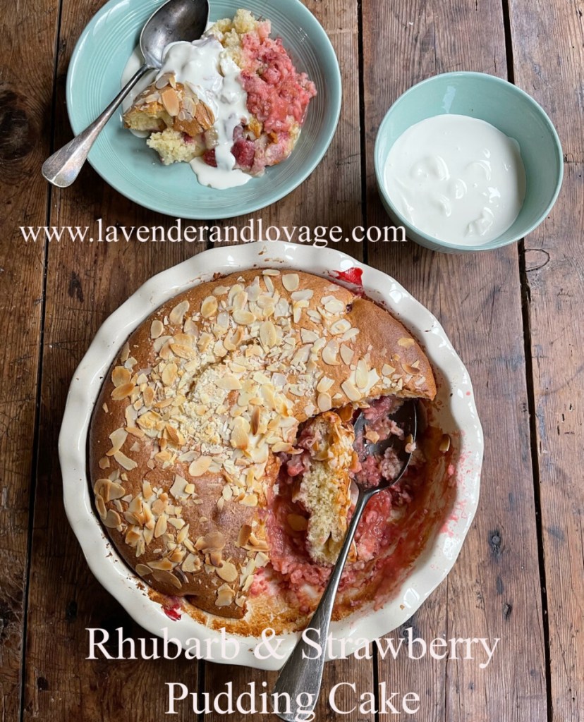 Rhubarb & Strawberry Pudding Cake