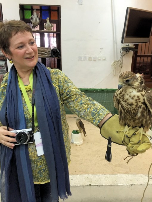 Falcons in Falcon Souq Doha Qatar