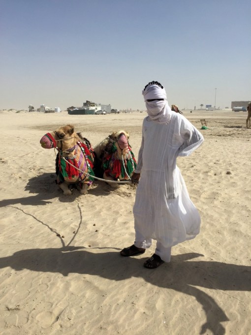 Camels in the Desert