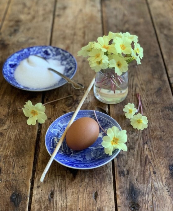 INGREDIENTS:
30 - 40 fresh primroses
1 egg white
caster sugar