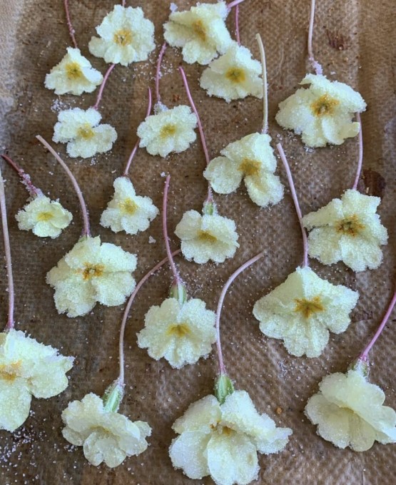 Sprinkle flowers all over with the caster sugar immediately. The sugar needs to stick to the egg white before it dries. Leave them for approximately one hour or more until fully set, I prefer to leave them overnight. You can also sit the finished flowers on a baking tray lined with ovenproof paper in a warm oven (switched off).