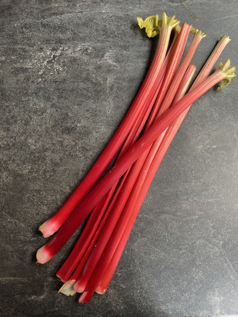 Traditional Baked Rhubarb Charlotte