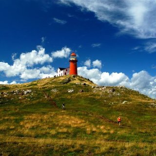 Lighthouse Picnics