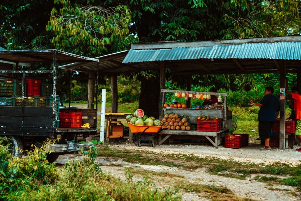 Roadside Stall