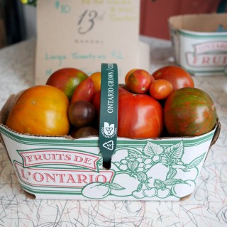 Ontario Heirloom Tomtatoes