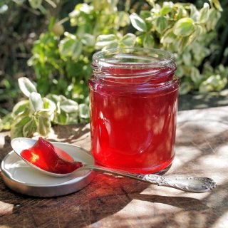 Damson and Apple Jelly