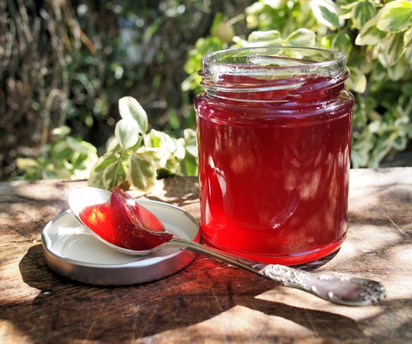 Dazzling Damson Day with Vivien Lloyd: Autumn Preserves Workshop in an Old Somerset Farmhouse