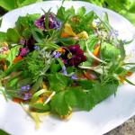 Elizabethan English Herb and Flower Salad With Honey Dressing