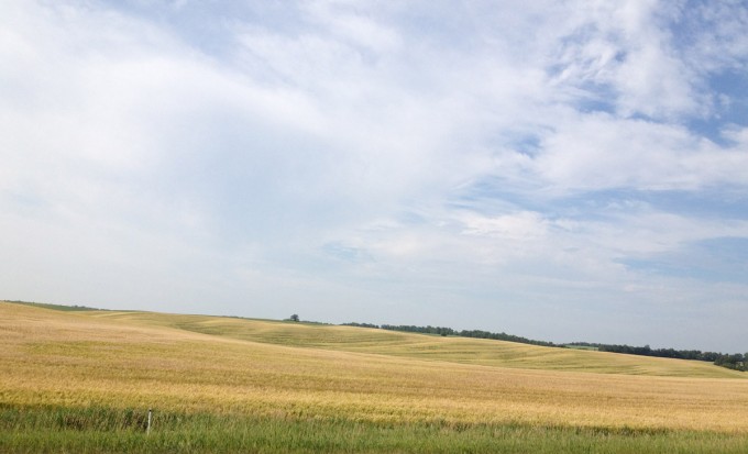 The Prairies