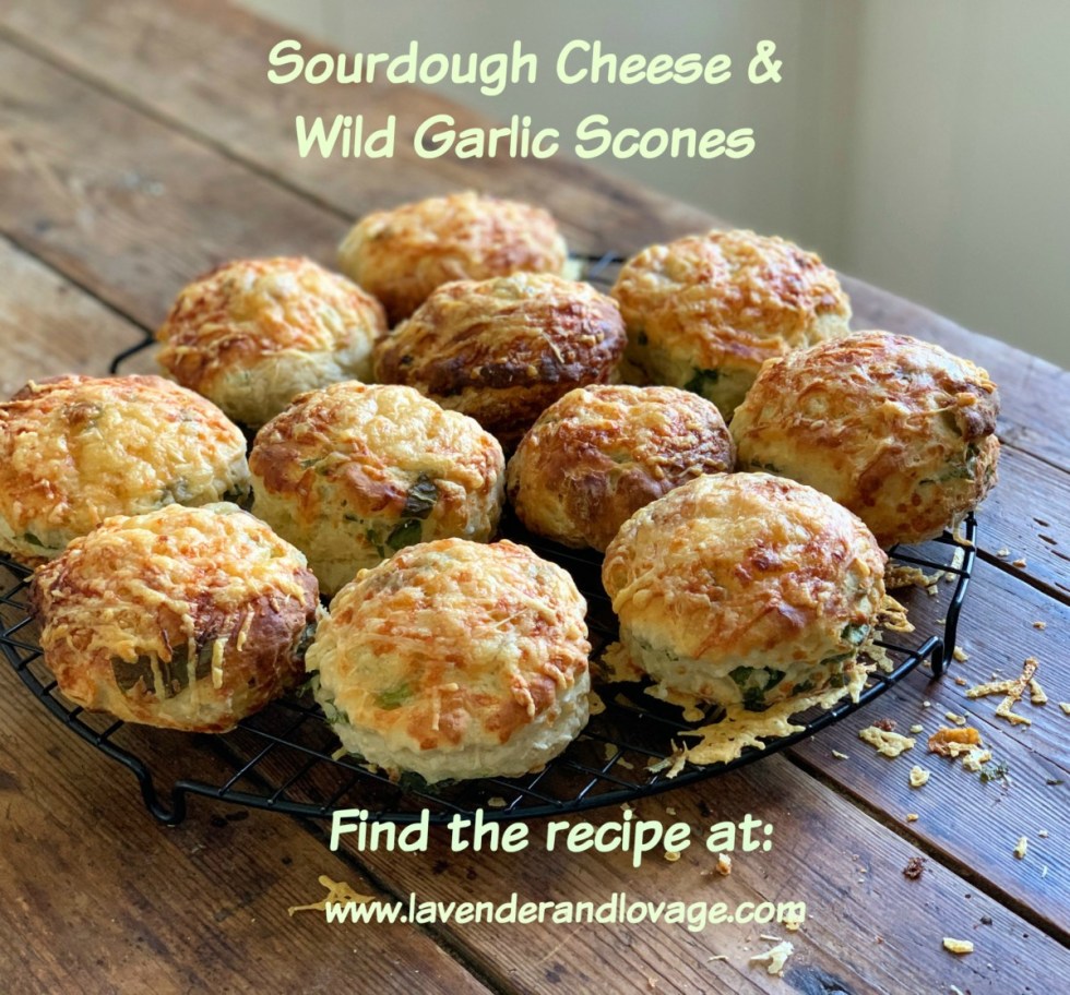 Sourdough Cheese & Wild Garlic Scones