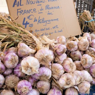 Fresh Garlic Provence