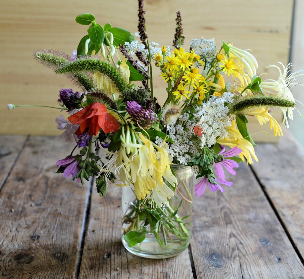 Wild Meadow Flowers